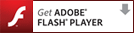 Get ADOBE FLASH PLAYER